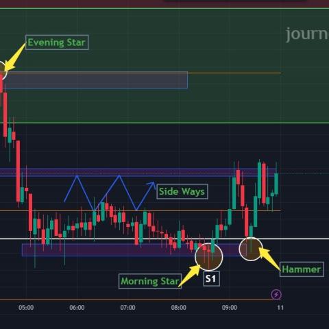 Future & Options - Profitable Trend Analysis